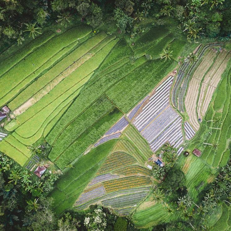 Entertainment zone at night in United States